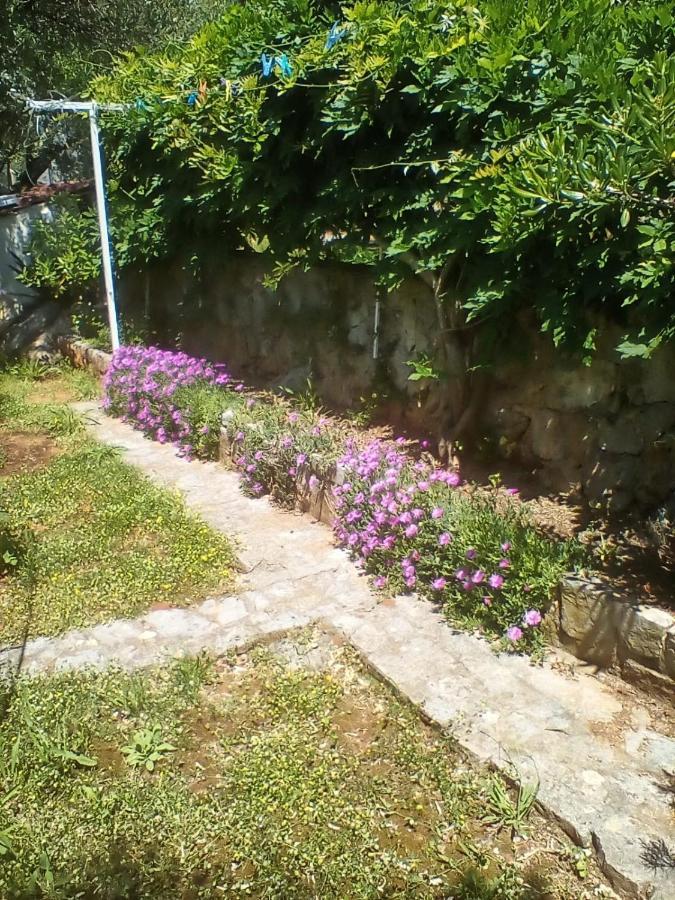 Apartman-Maja-Krk Veglia Exterior foto